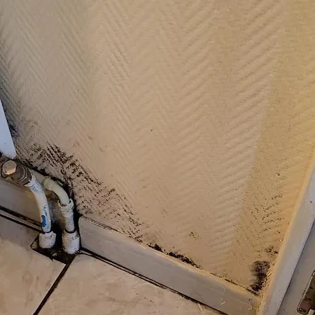 Calme Dans Colocation De 5 Personnes Pensión